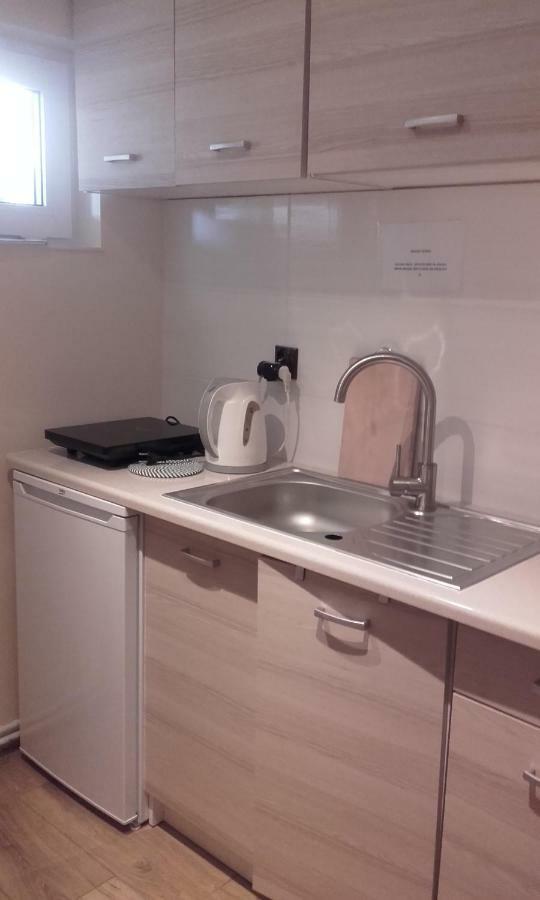 Pod Jarzebina Apartment Torun Bagian luar foto