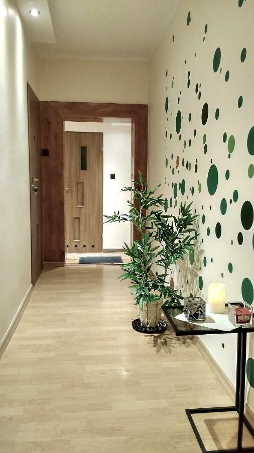 Pod Jarzebina Apartment Torun Bagian luar foto